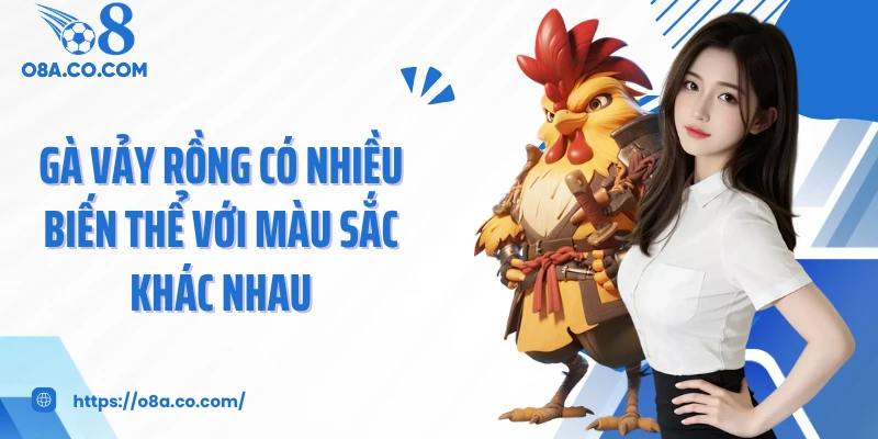Gà vảy rồng có nhiều biến thể với màu sắc khác nhau