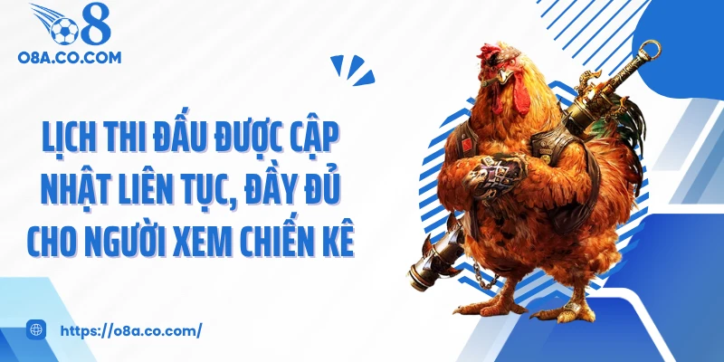 Lịch thi đấu được cập nhật liên tục, đầy đủ cho người xem chiến kê