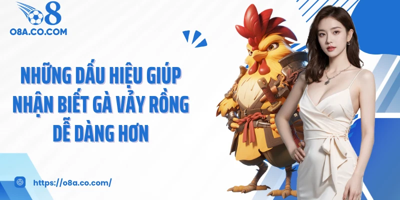 Những dấu hiệu giúp nhận biết gà vảy rồng dễ dàng hơn