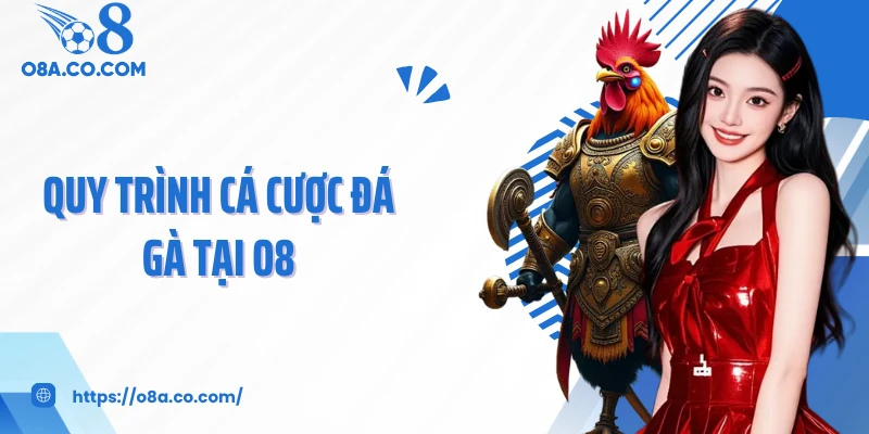 Quy trình cá cược đá gà tại O8