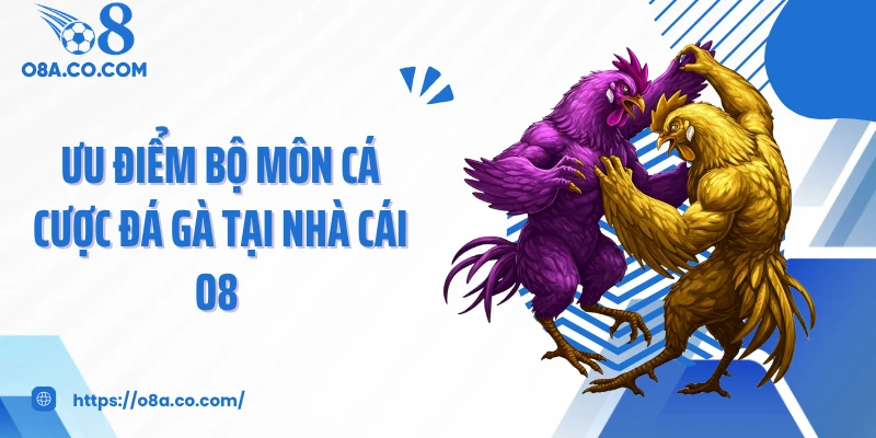 Ưu điểm bộ môn cá cược đá gà tại nhà cái O8 